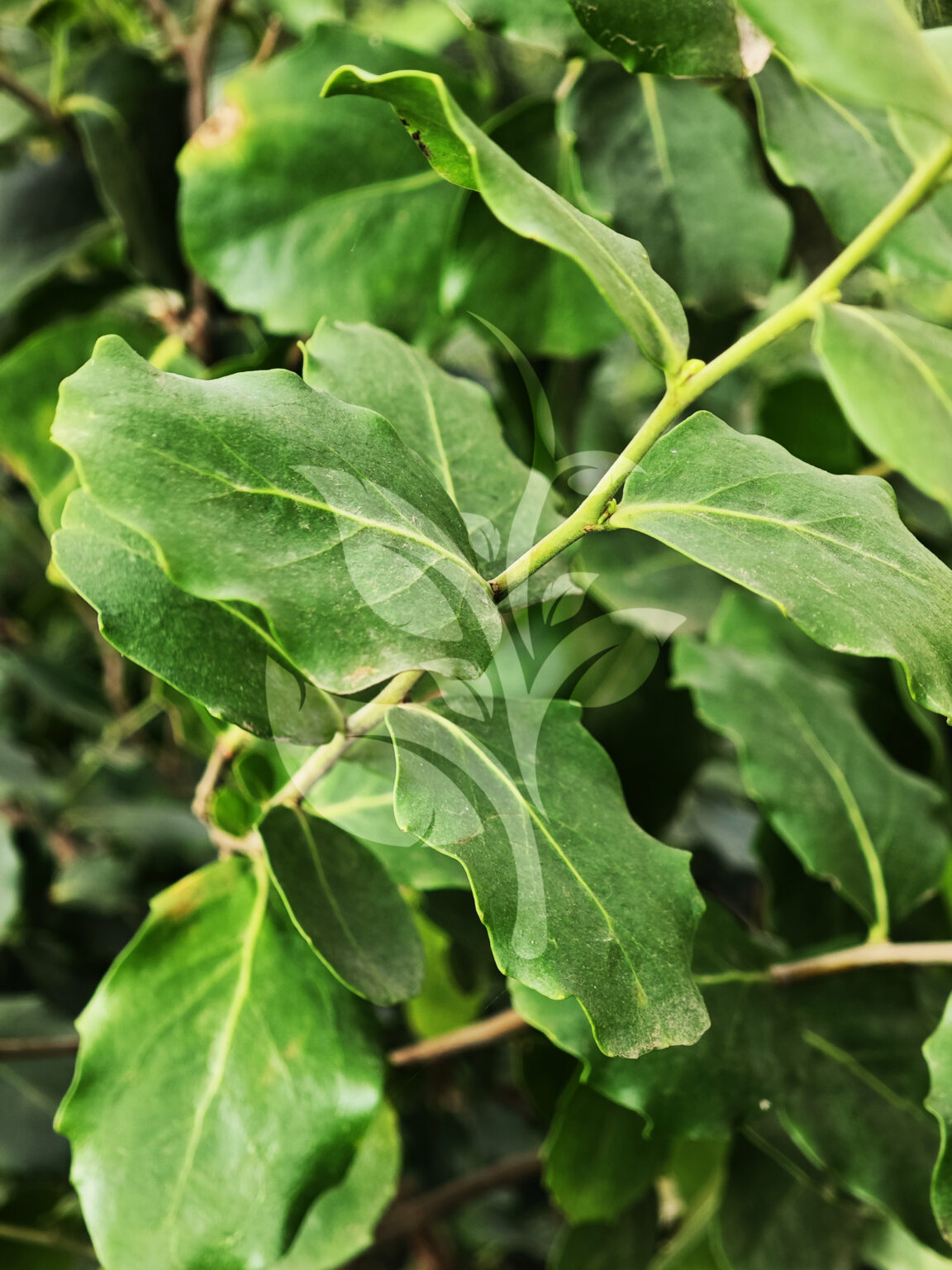 IMG_20240830_085623 copia