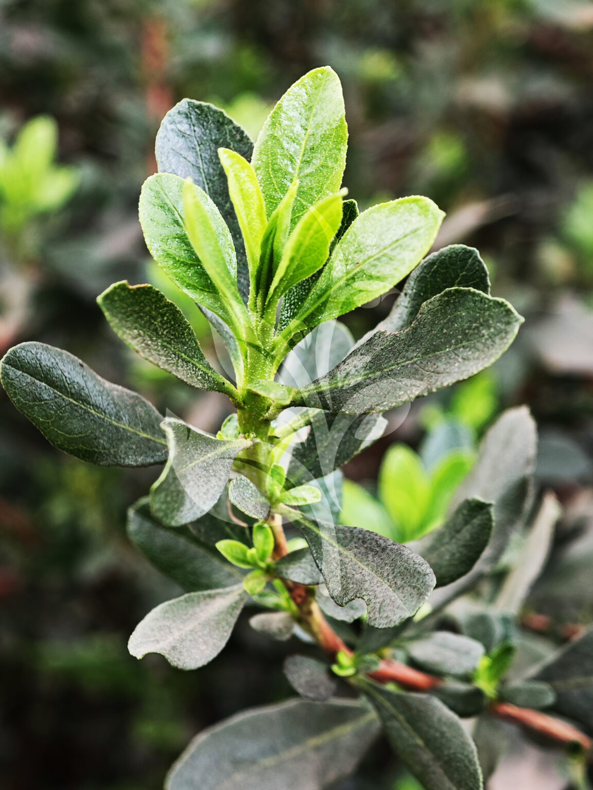 IMG_20240830_085943 copia