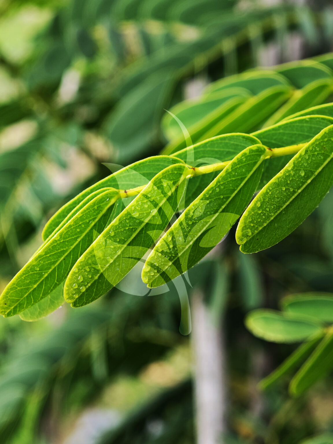 IMG_20240830_091641 copia