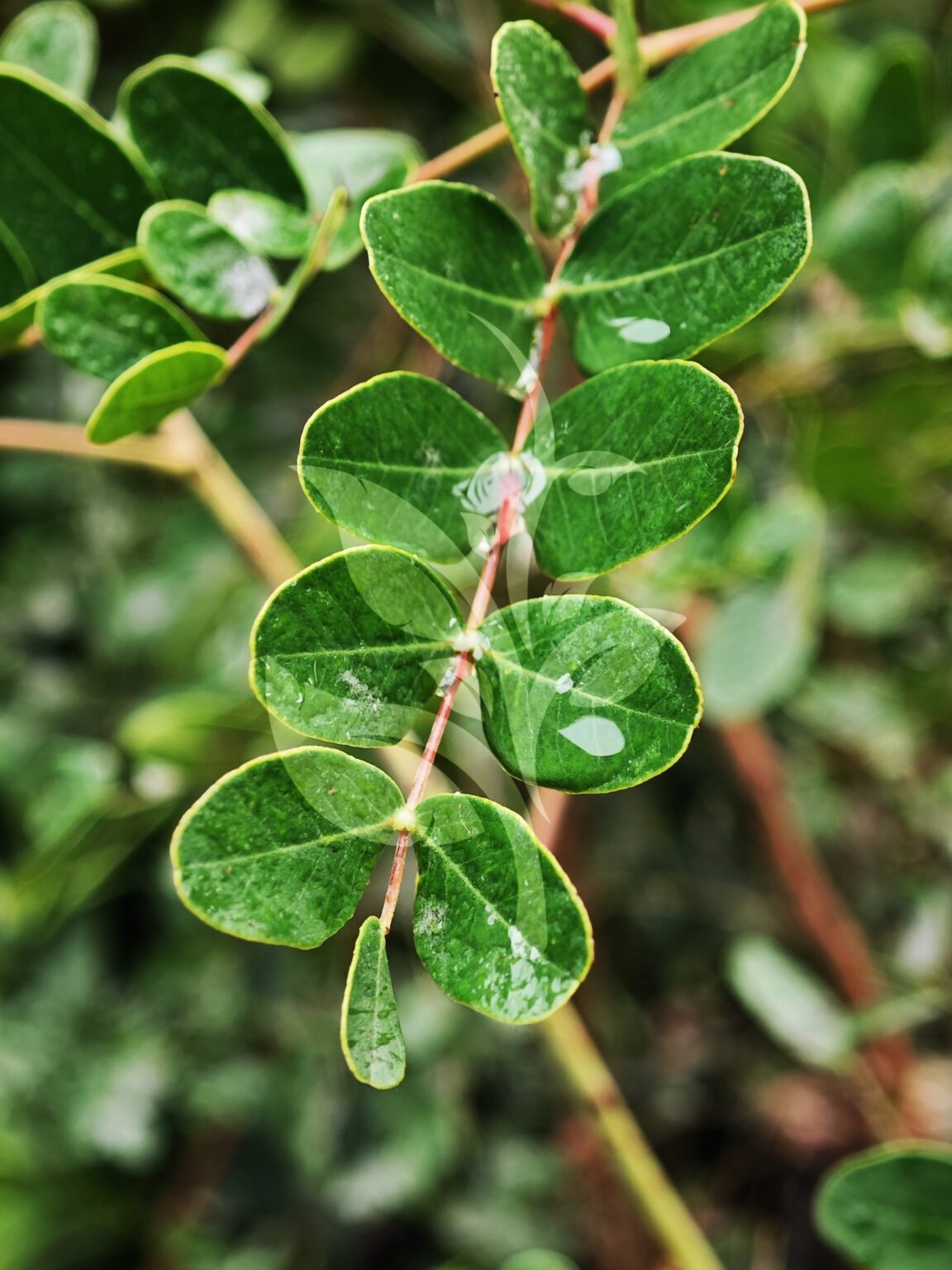 IMG_20240830_095434 copia