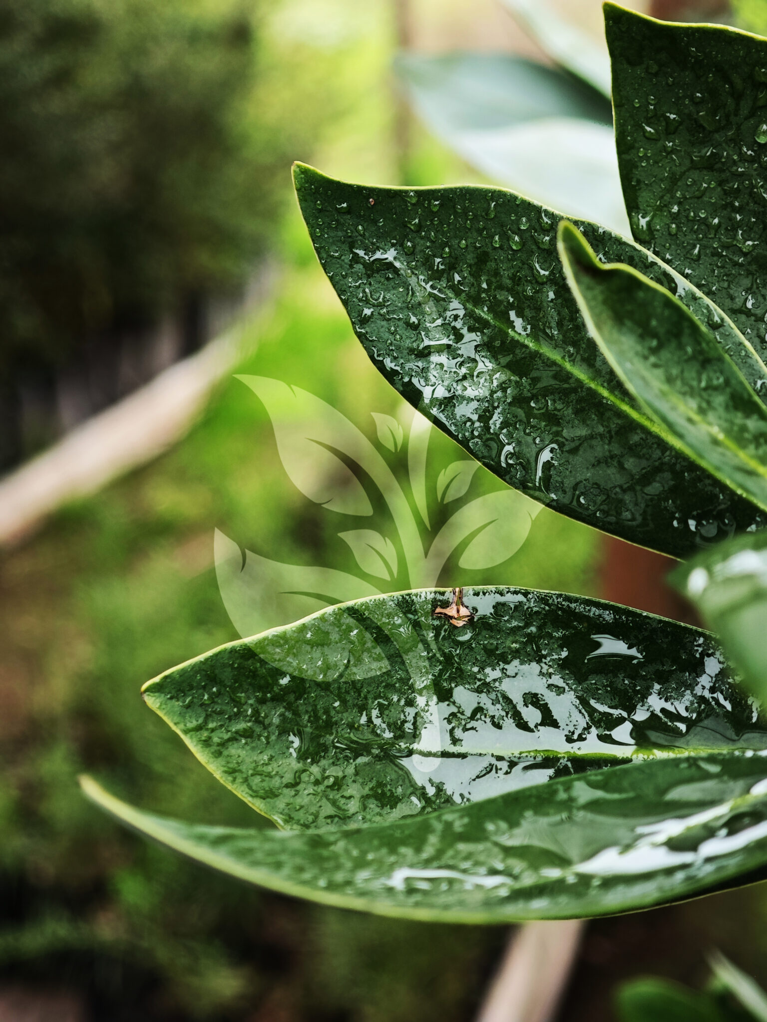 IMG_20240830_095520 copia