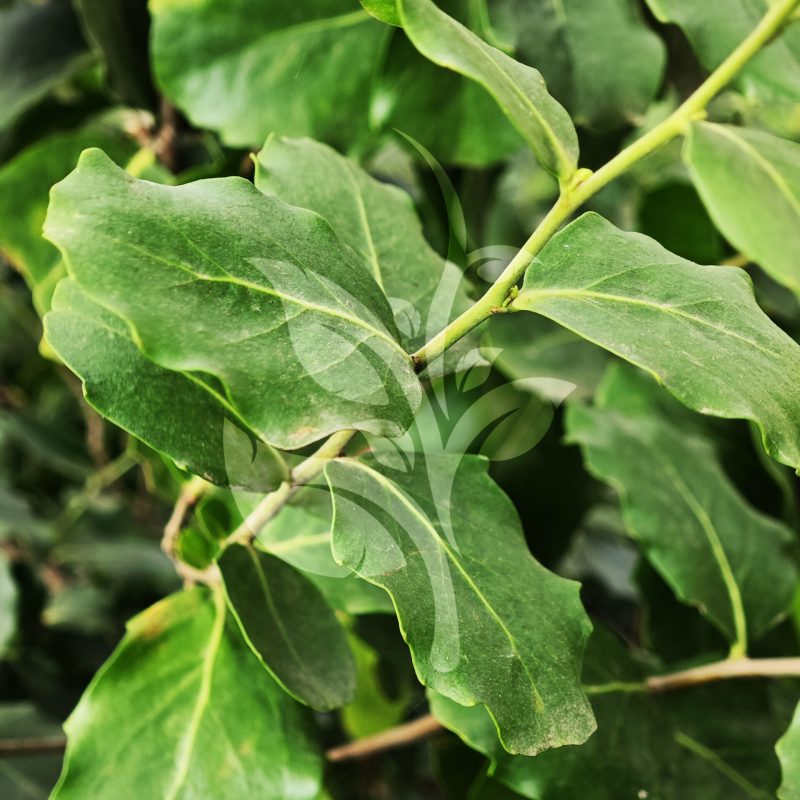 IMG_20240830_085623 copia