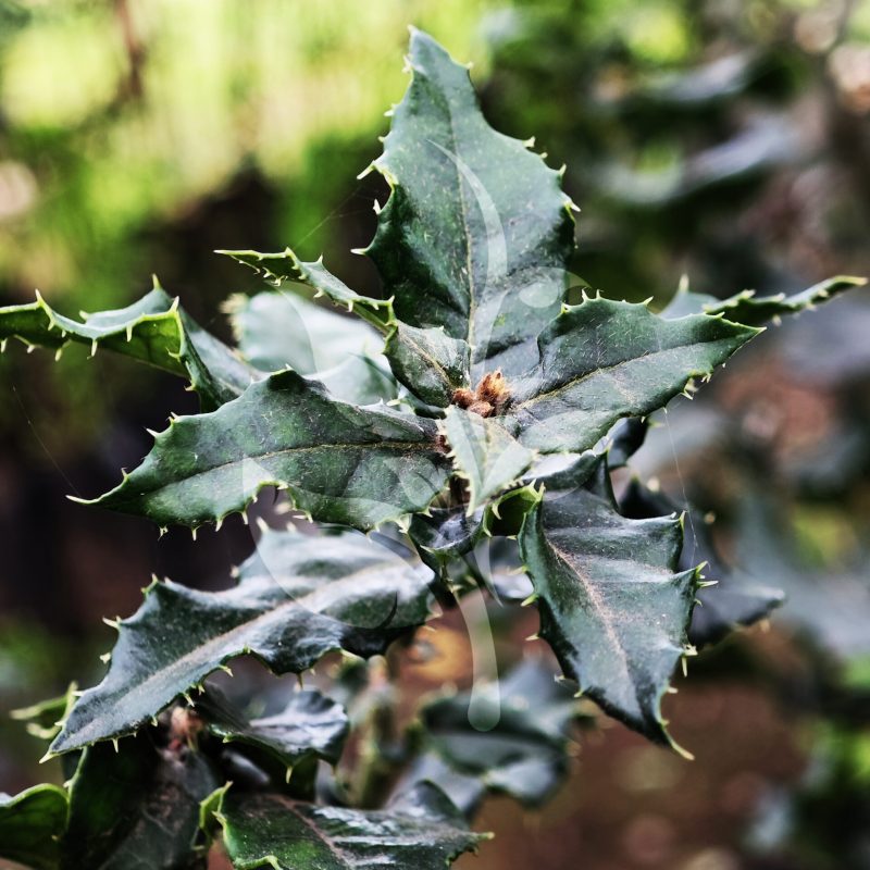 IMG_20240830_085712 copia