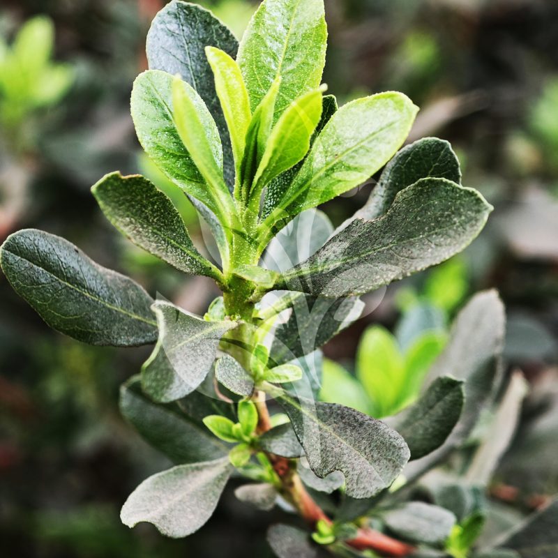 IMG_20240830_085943 copia