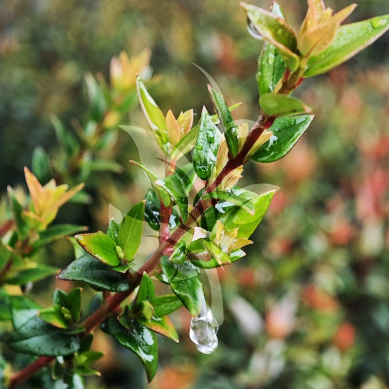 IMG_20240830_091408 copia