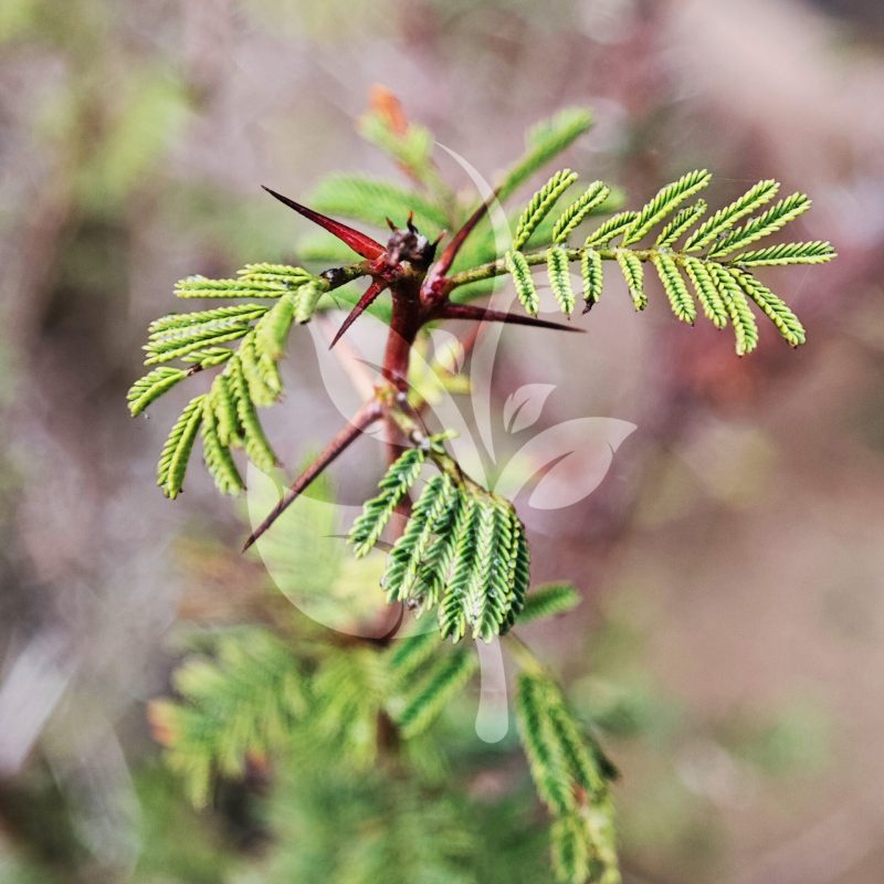 IMG_20240830_093756 copia