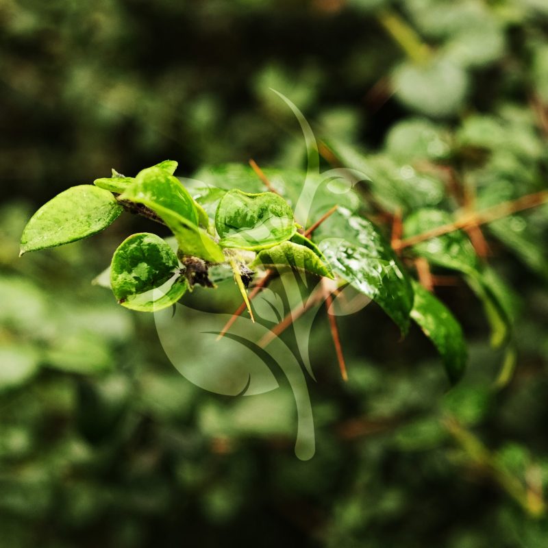 IMG_20240830_095309 copia