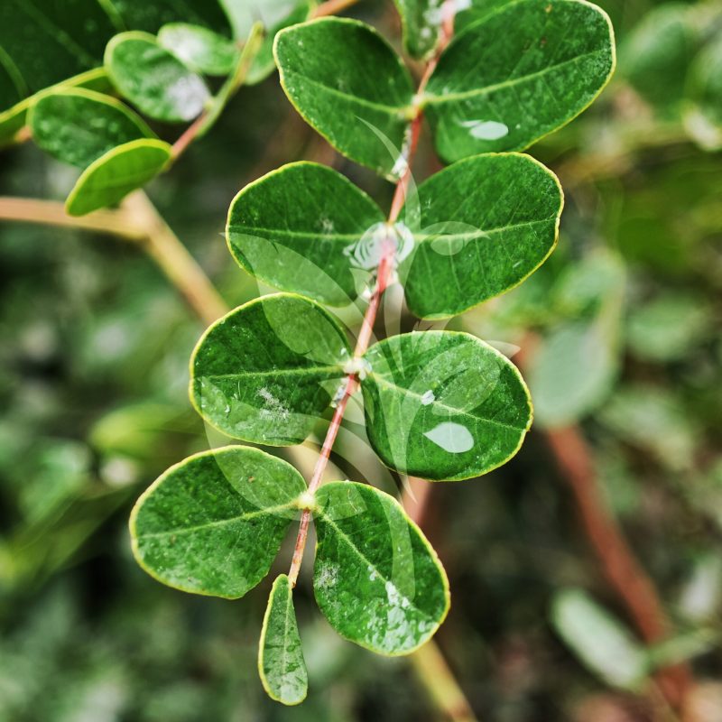 IMG_20240830_095434 copia